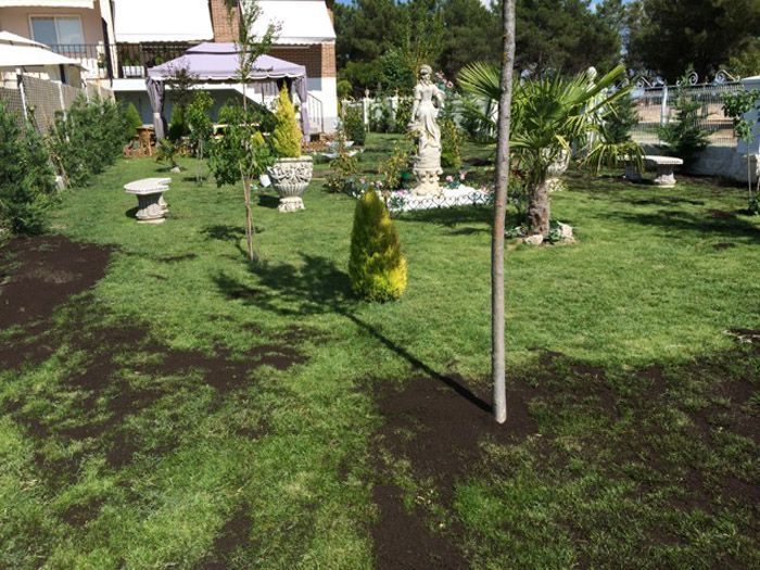 mantenimiento jardines valladolid