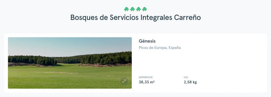 captura bosques de servicios integrales Carreño